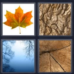 respuestas de 4 fotos 1 palabra nivel 645|4 fotos 1 palabra hoja, tronco, madera, corteza ¡Respuesta!.